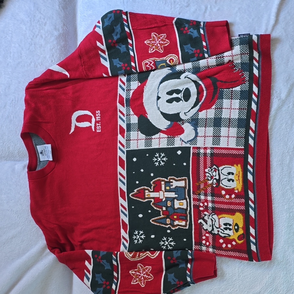 Disney Holiday 2021 Spirit Jersey
